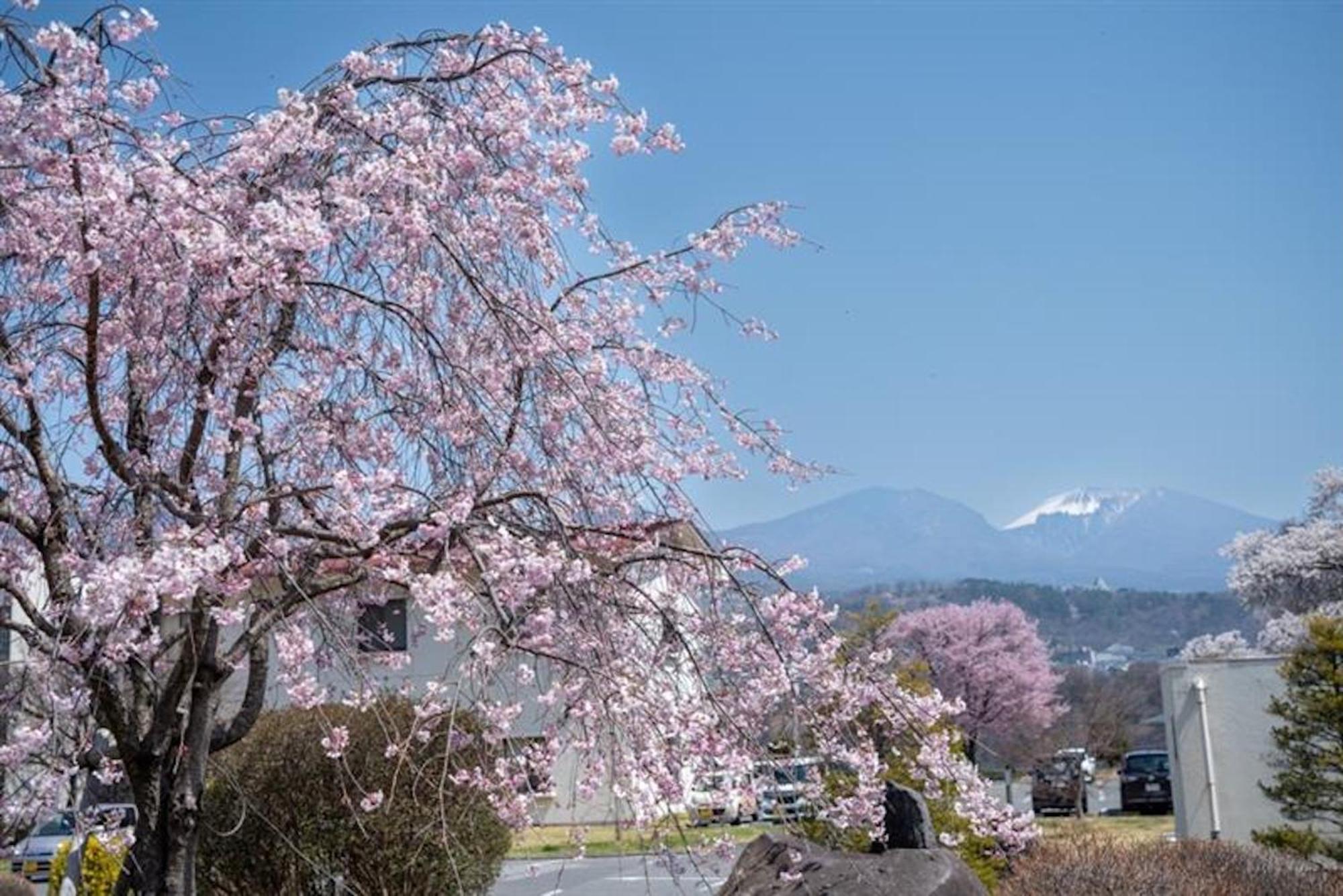 Nunohiki Onsen Komoro Экстерьер фото